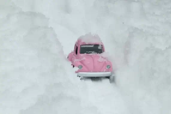 雪による車の被害